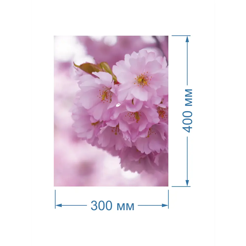 Фото 2 Картина Полицентр Розовые цветы сакуры 40x30 см