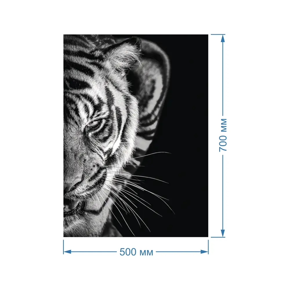 Фото 2 Картина Полицентр Тигр в черно белом цвете 70x50 см