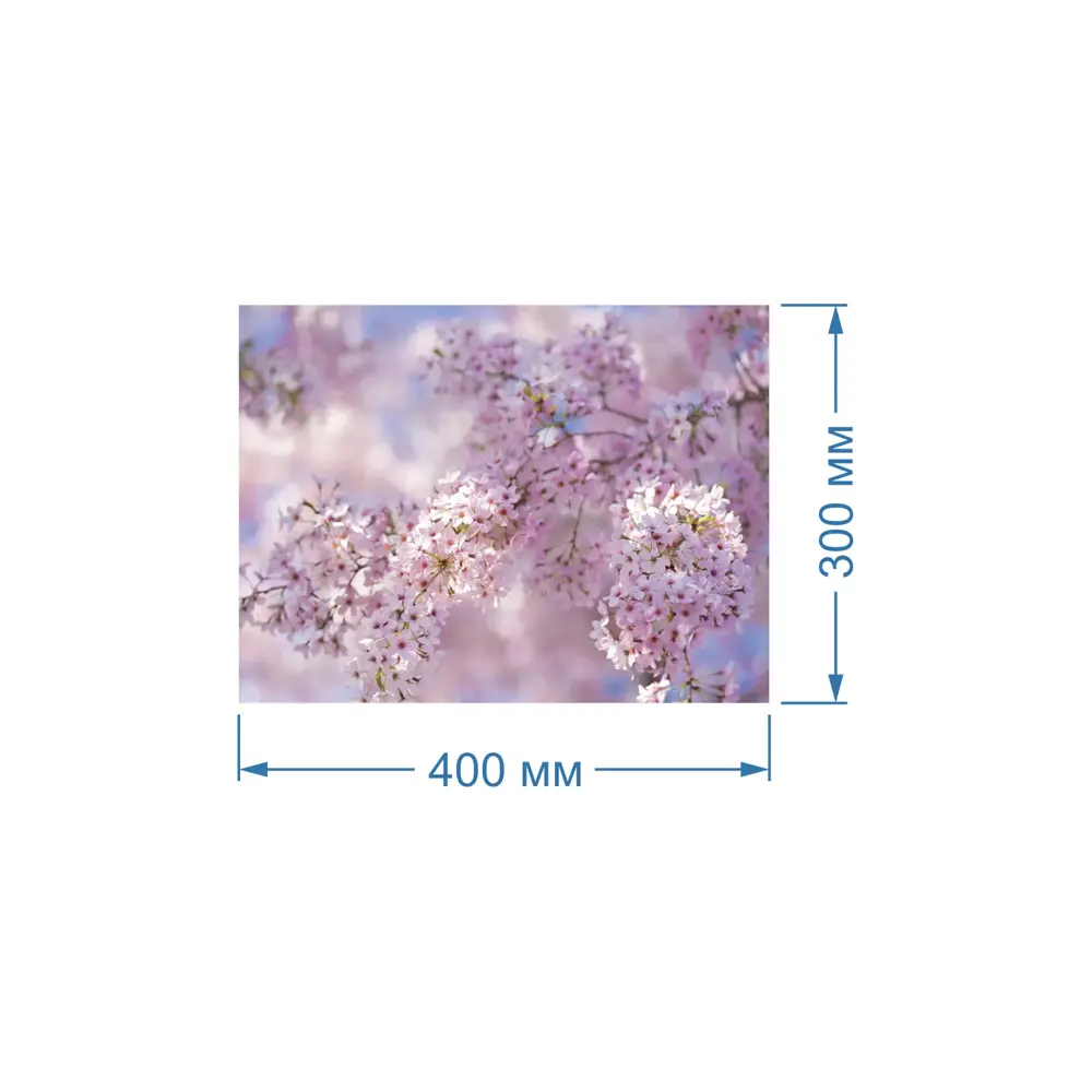 Фото 2 Картина Полицентр Цветущая ветка сакуры 30x40 см Фото 2 Картина Полицентр Цветущая ветка сакуры 30x40 см