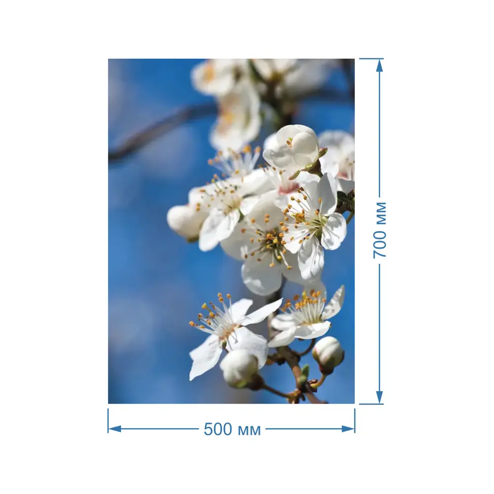 Фото 2 Картина Полицентр Цветы вишни на размытом фоне 70x50 см Фото 2 Картина Полицентр Цветы вишни на размытом фоне 70x50 см