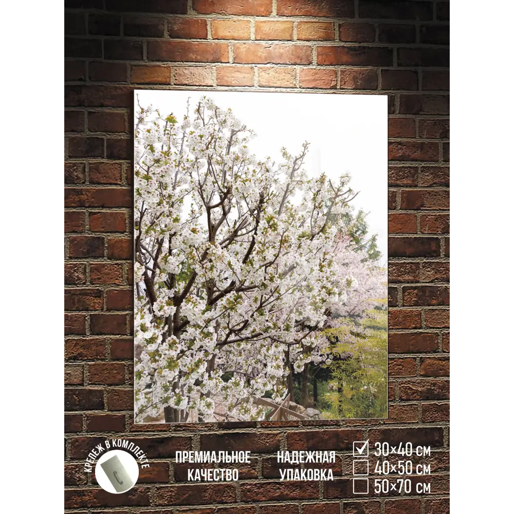 Фото Картина Полицентр Цветы сакуры весной в парке 40x30 см Фото Картина Полицентр Цветы сакуры весной в парке 40x30 см