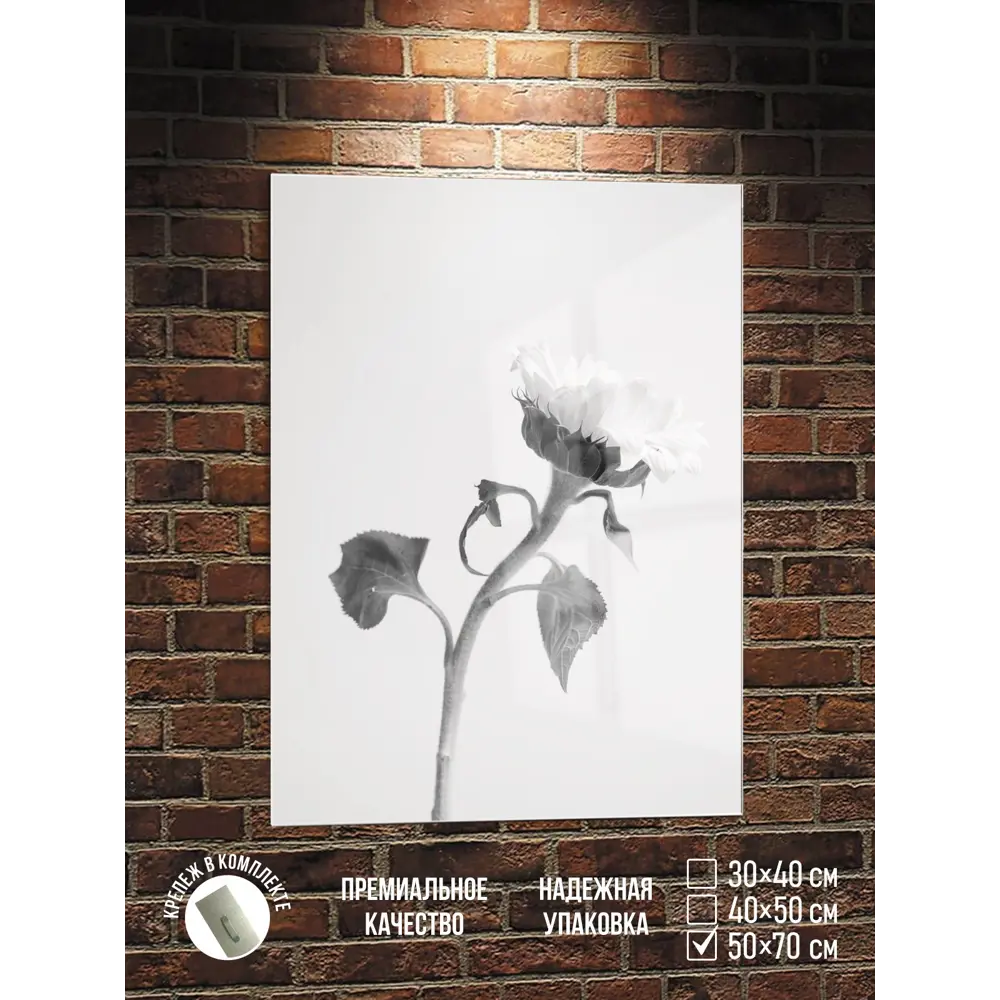 Фото Картина Полицентр Черно белое фото цветок 70x50 см