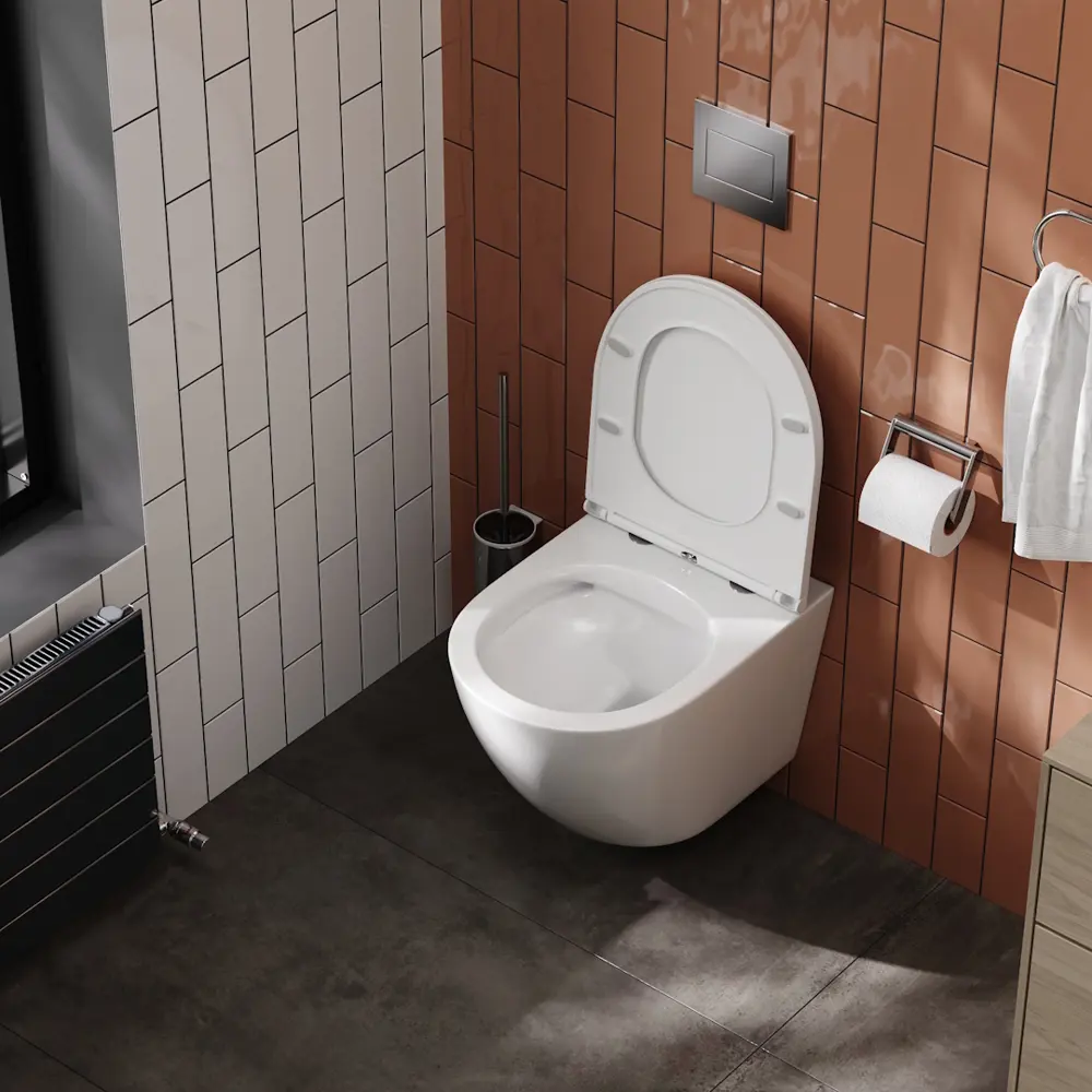 Фото 5 Унитаз подвесной Teymi T40102 без ободка с микролифтом Фото 5 Унитаз подвесной Teymi T40102 без ободка с микролифтом