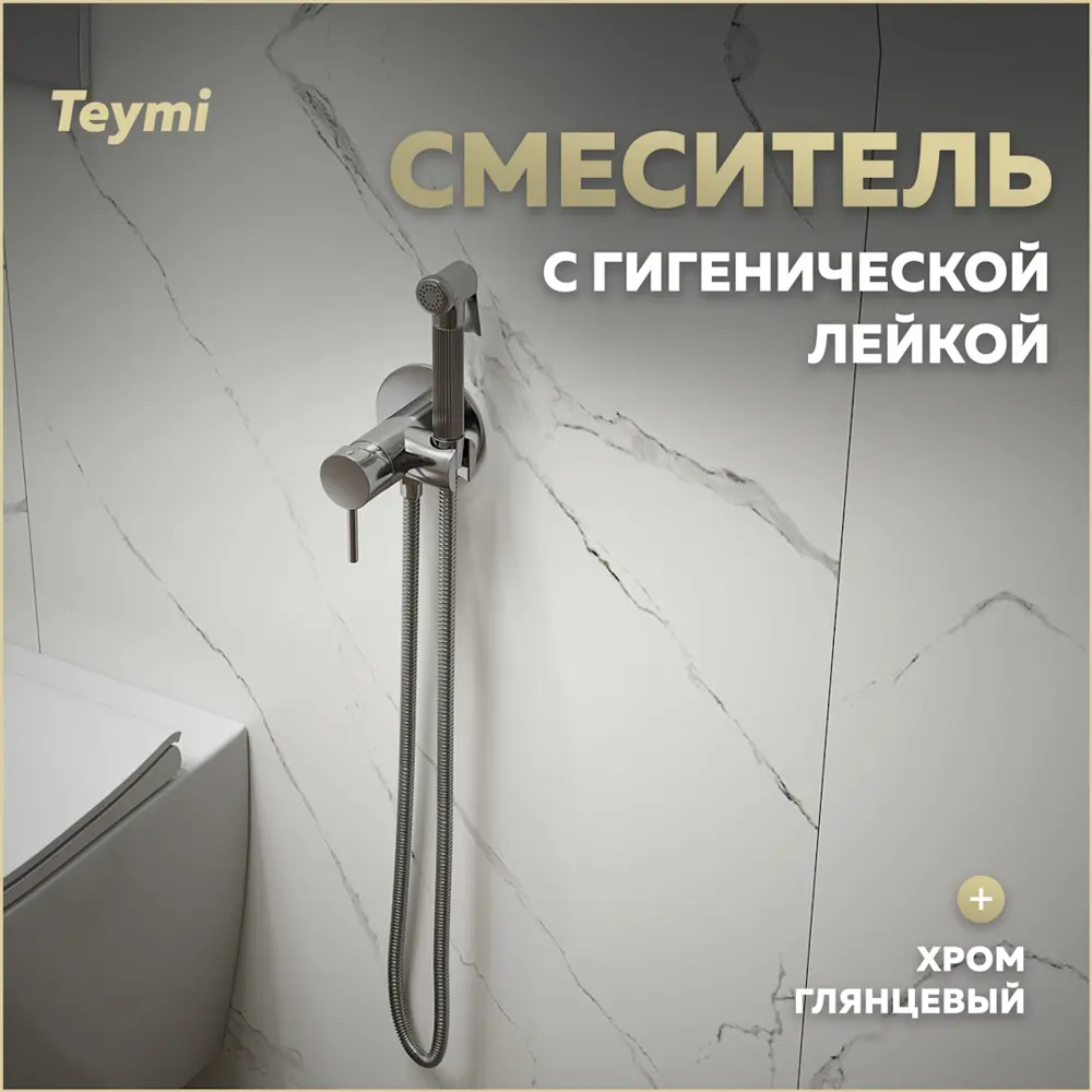 Фото Смеситель с гигиенической лейкой Teymi Lina T10229 цвет хром Фото Смеситель с гигиенической лейкой Teymi Lina T10229 цвет хром