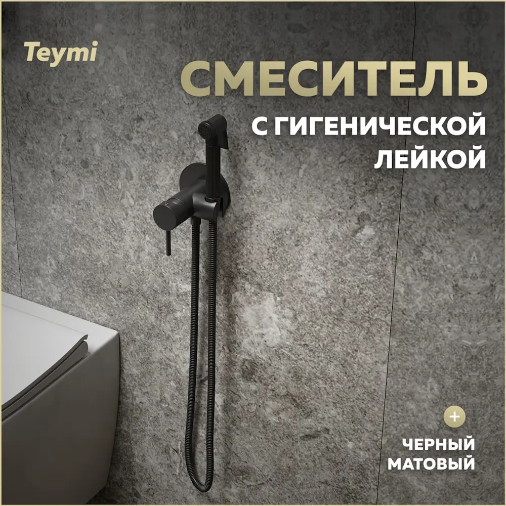 Фото Смеситель с гигиенической лейкой Teymi Lina T10230 цвет черный матовый Фото Смеситель с гигиенической лейкой Teymi Lina T10230 цвет черный матовый
