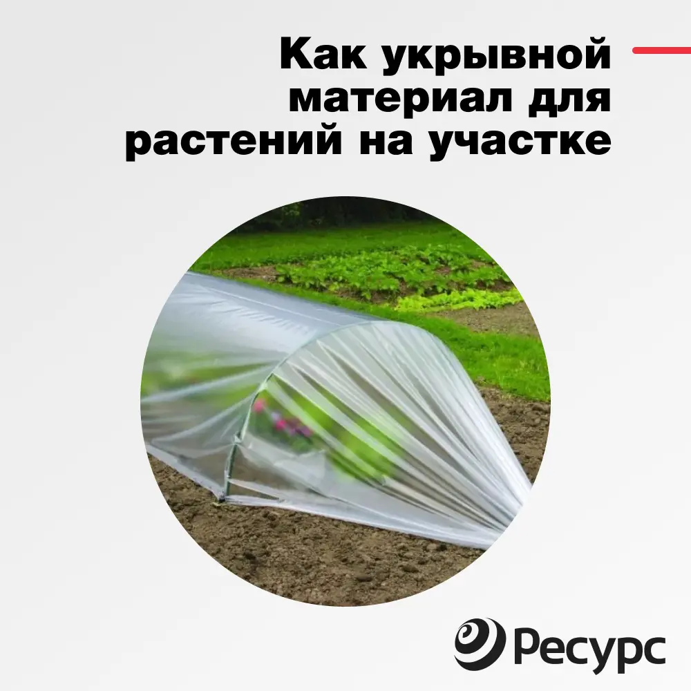Фото 7 Пленка парниковая Экономный садовод 60мкм 3x10 м Фото 7 Пленка парниковая Экономный садовод 60мкм 3x10 м