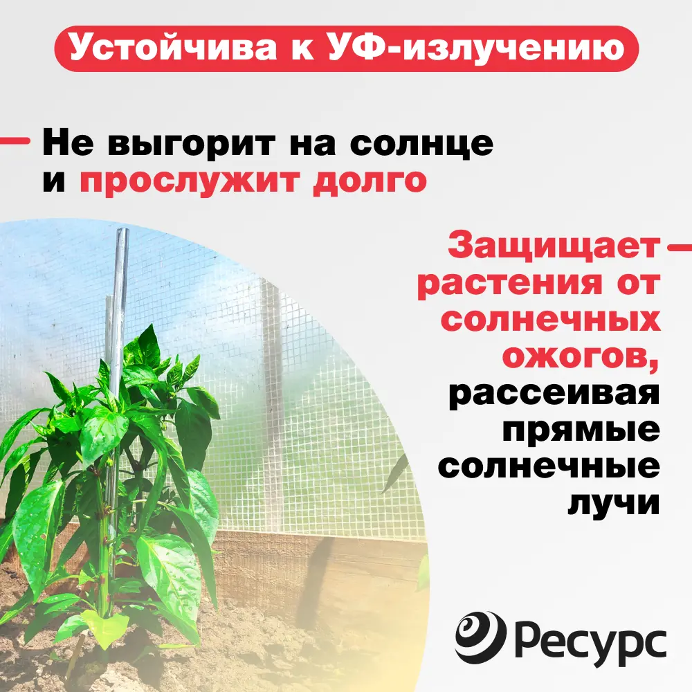 Фото 4 Пленка парниковая Ресурс 25537 усиленная леской 2x10 м 2 шт Фото 4 Пленка парниковая Ресурс 25537 усиленная леской 2x10 м 2 шт