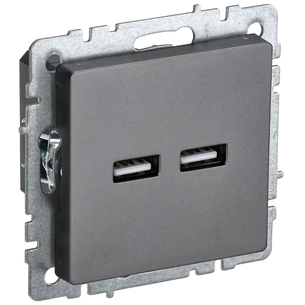 Фото Розетка USB встраиваемая Iek Brite BR-U21-D31-K46 цвет сталь Фото Розетка USB встраиваемая Iek Brite BR-U21-D31-K46 цвет сталь
