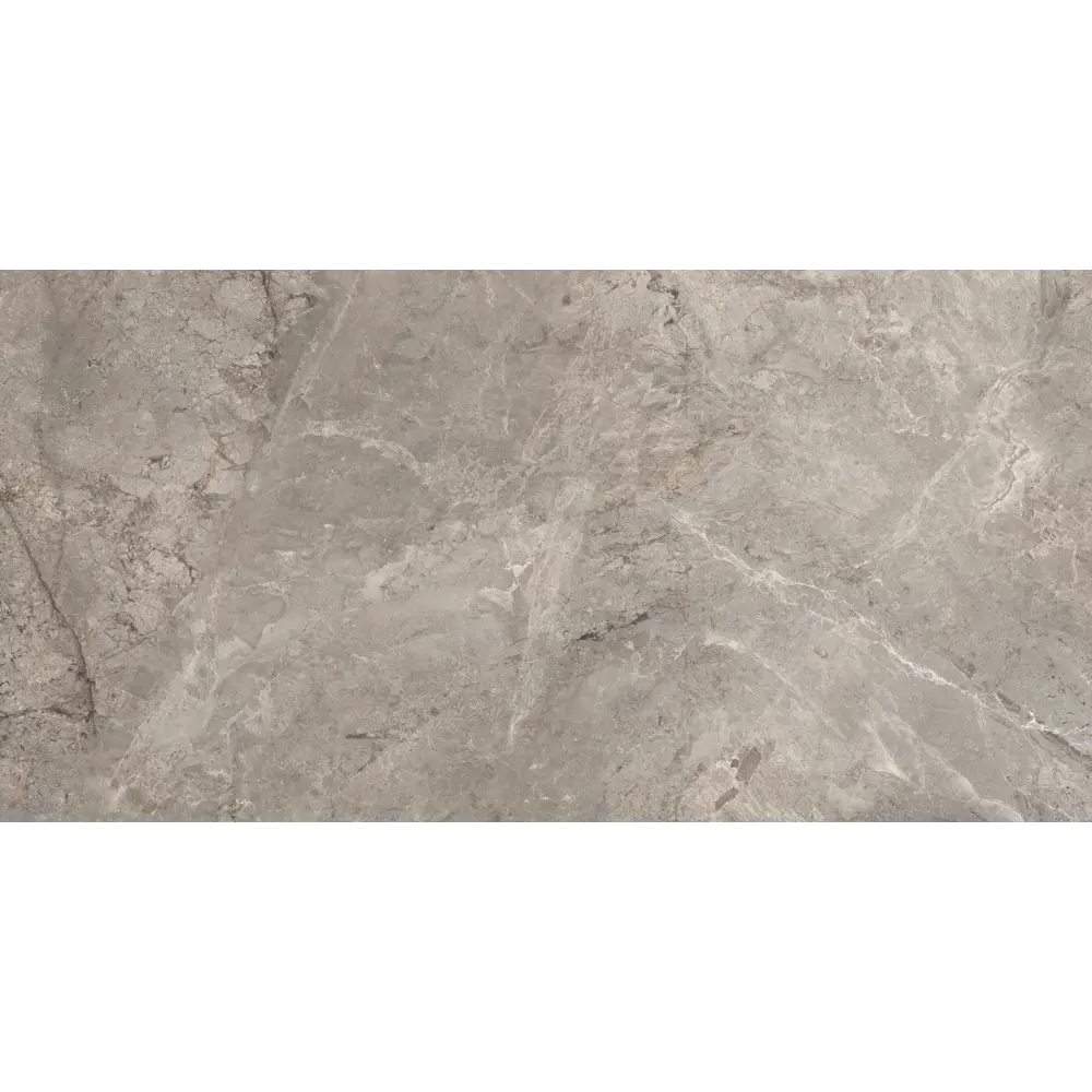 Фото 6 Керамогранит Bien Arcos Керамогранит Arcos Silver 59.5x119.5см цвет серый Фото 6 Керамогранит Bien Arcos Керамогранит Arcos Silver 59.5x119.5см цвет серый