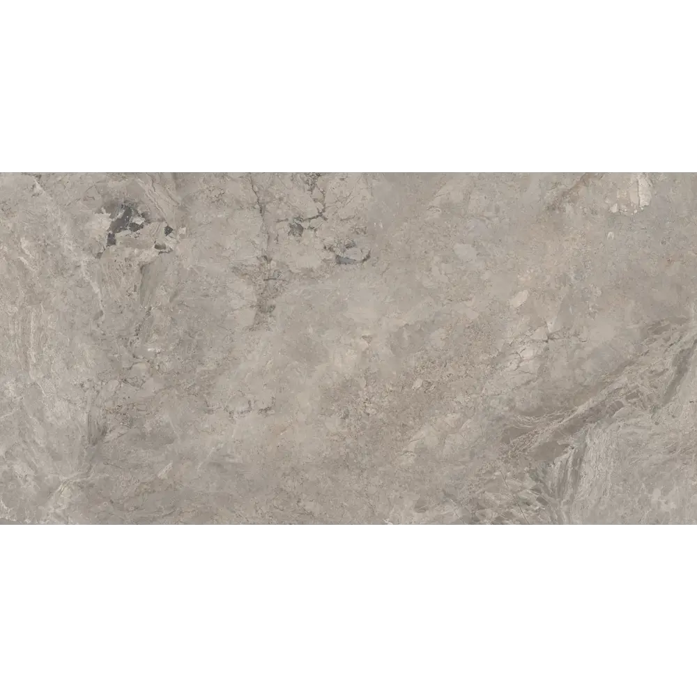 Фото 8 Керамогранит Bien Arcos Керамогранит Arcos Silver 59.5x119.5см цвет серый Фото 8 Керамогранит Bien Arcos Керамогранит Arcos Silver 59.5x119.5см цвет серый