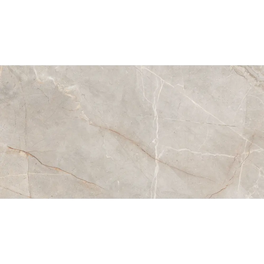 Фото 7 Керамогранит Bien Madran Керамогранит Madran VANILLIA matt 59.5x119.5см цвет серый Фото 7 Керамогранит Bien Madran Керамогранит Madran VANILLIA matt 59.5x119.5см цвет серый