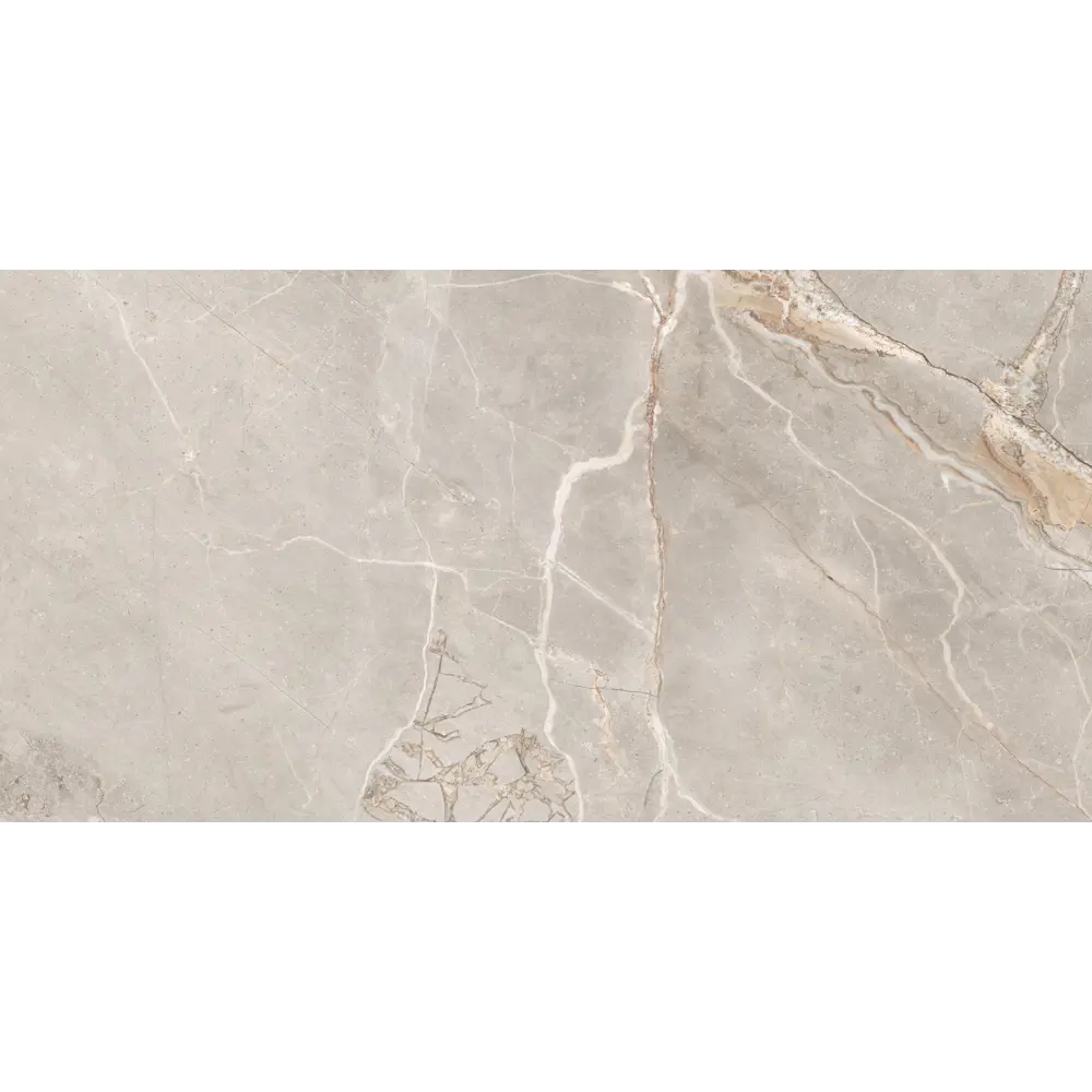 Фото 3 Керамогранит Bien Madran Керамогранит Madran VANILLIA matt 59.5x119.5см цвет серый Фото 3 Керамогранит Bien Madran Керамогранит Madran VANILLIA matt 59.5x119.5см цвет серый