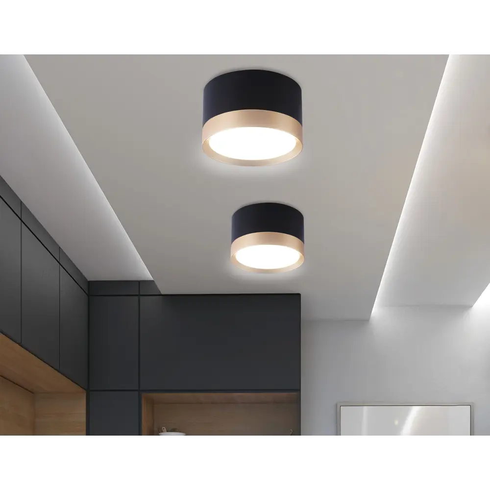 Фото 9 Светильник точечный накладной Ambrella Light TN52359 Gx standard tech GX53 цвет черный Фото 9 Светильник точечный накладной Ambrella Light TN52359 Gx standard tech GX53 цвет черный