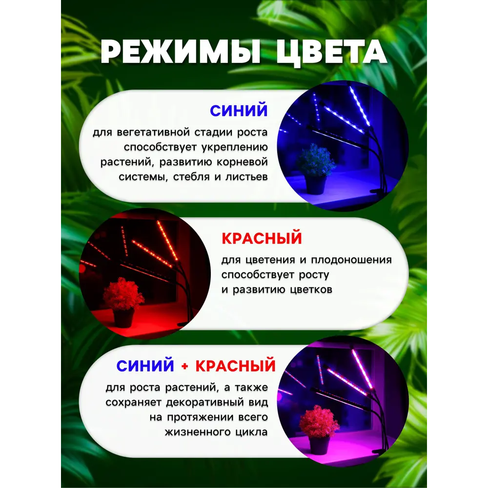 Фото 5 Настольная фитолампа Сима-ленд 7013636 25 см 27 Вт красно-синий спектр для цветущих растений розовый свет Фото 5 Настольная фитолампа Сима-ленд 7013636 25 см 27 Вт красно-синий спектр для цветущих растений розовый свет