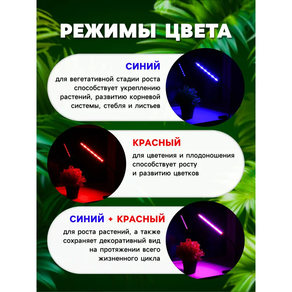 Фото 5 Настольная фитолампа Сима-ленд 7013634 25 см 9 Вт красно-синий спектр для цветущих растений розовый свет Фото 5 Настольная фитолампа Сима-ленд 7013634 25 см 9 Вт красно-синий спектр для цветущих растений розовый свет