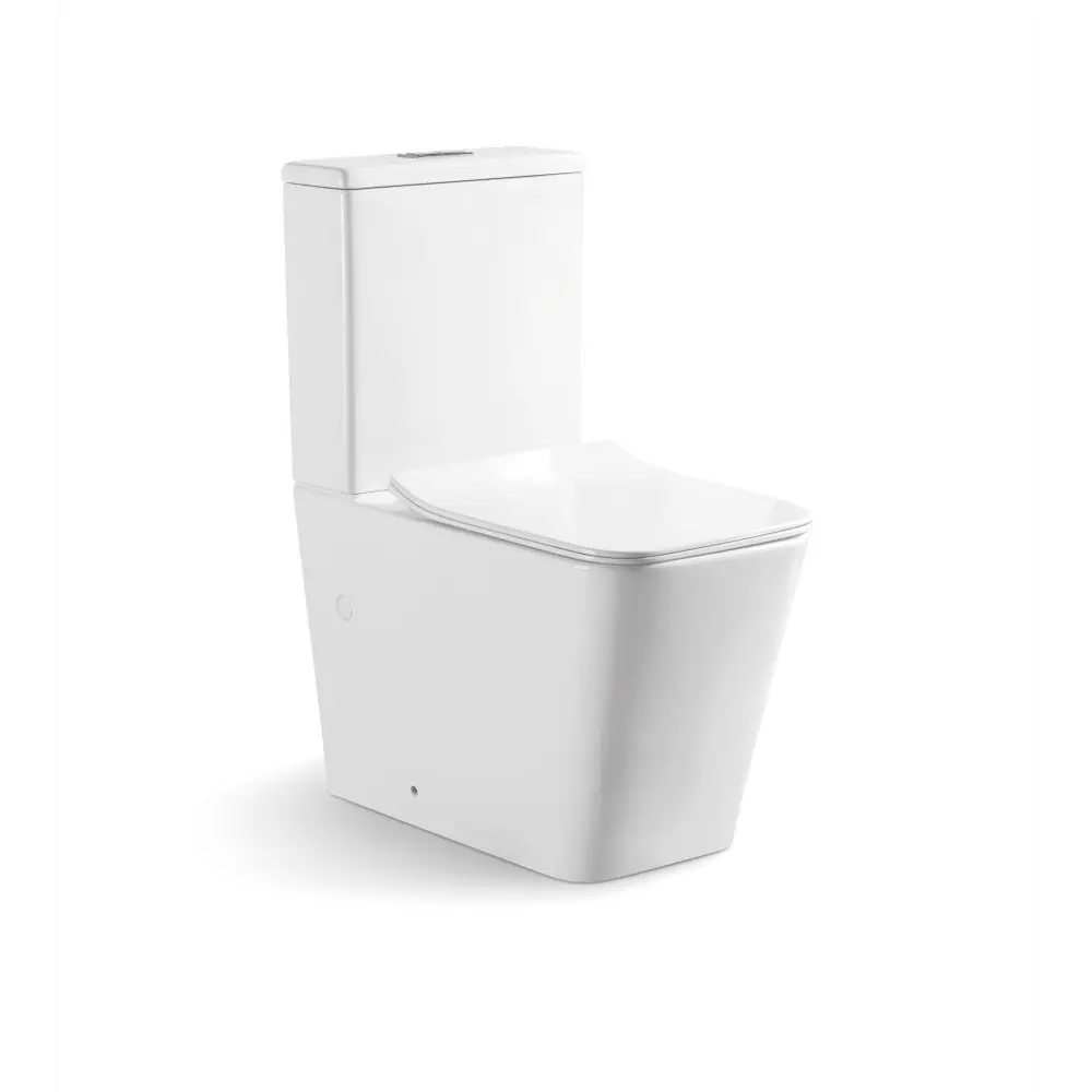 Фото Унитаз-компакт Iberica Blanca Toledo напольный безободковый тонкое сиденье дюропласт soft close цвет белый Фото Унитаз-компакт Iberica Blanca Toledo напольный безободковый тонкое сиденье дюропласт soft close цвет белый