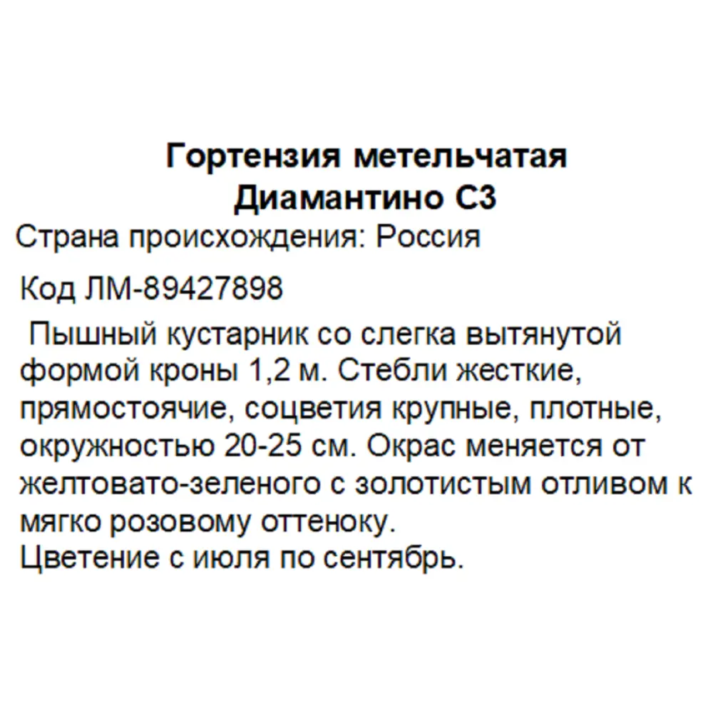 Фото 3 Гортензия метельчатая Диамантино ø20 h30 см