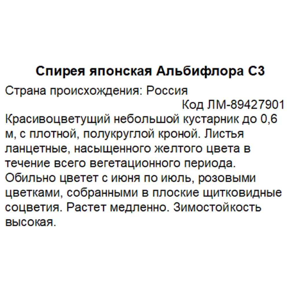 Фото 3 Спирея японская Альбифлора ø20 h45 см Фото 3 Спирея японская Альбифлора ø20 h45 см