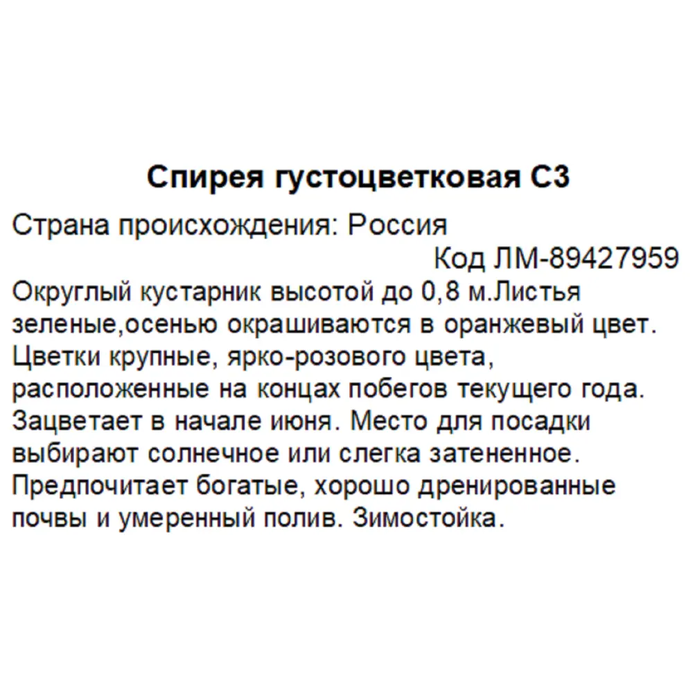 Фото 3 Спирея густоцветковая ø20 h45 см Фото 3 Спирея густоцветковая ø20 h45 см