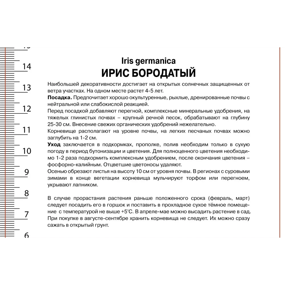 Фото 2 Ирис бородатый Император Фото 2 Ирис бородатый Император