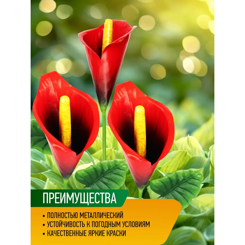 Фото 4 Фигура садовая Калла ред алерт Park металл 8.5 x 23 см Фото 4 Фигура садовая Калла ред алерт Park металл 8.5 x 23 см