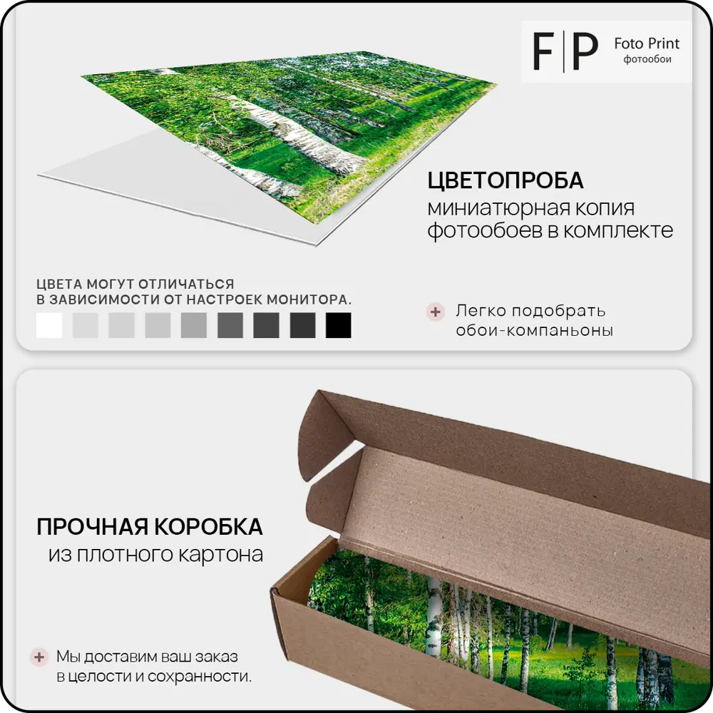 Фото 9 Фотообои флизелиновые Foto Print Березовая роща 02-038-А-2.5-2.7 250x270 см