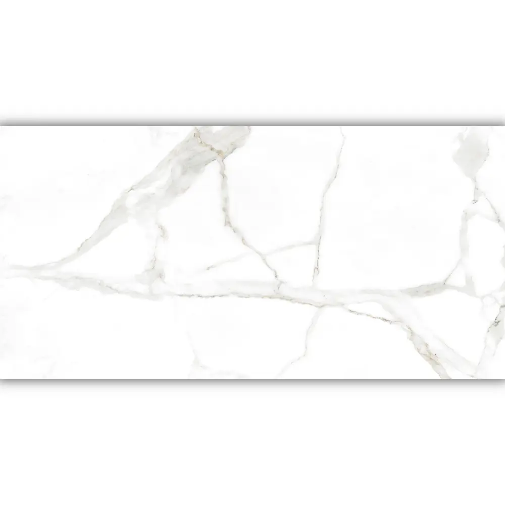 Фото 3 Керамогранит Duna Marble RP-238594 60x120см цвет белый Фото 3 Керамогранит Duna Marble RP-238594 60x120см цвет белый