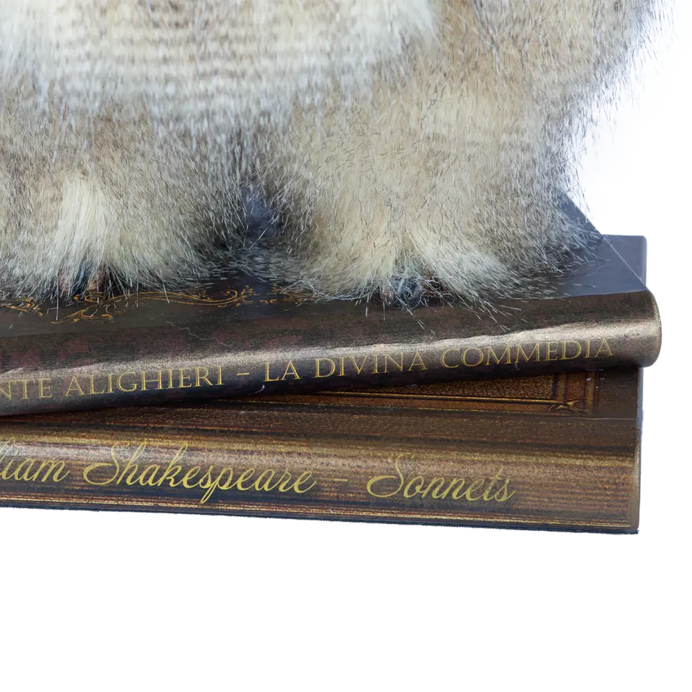 Фото 9 Коллекционная игрушка Bogacho Филин Шопенгауэр ручная работа Фото 9 Коллекционная игрушка Bogacho Филин Шопенгауэр ручная работа