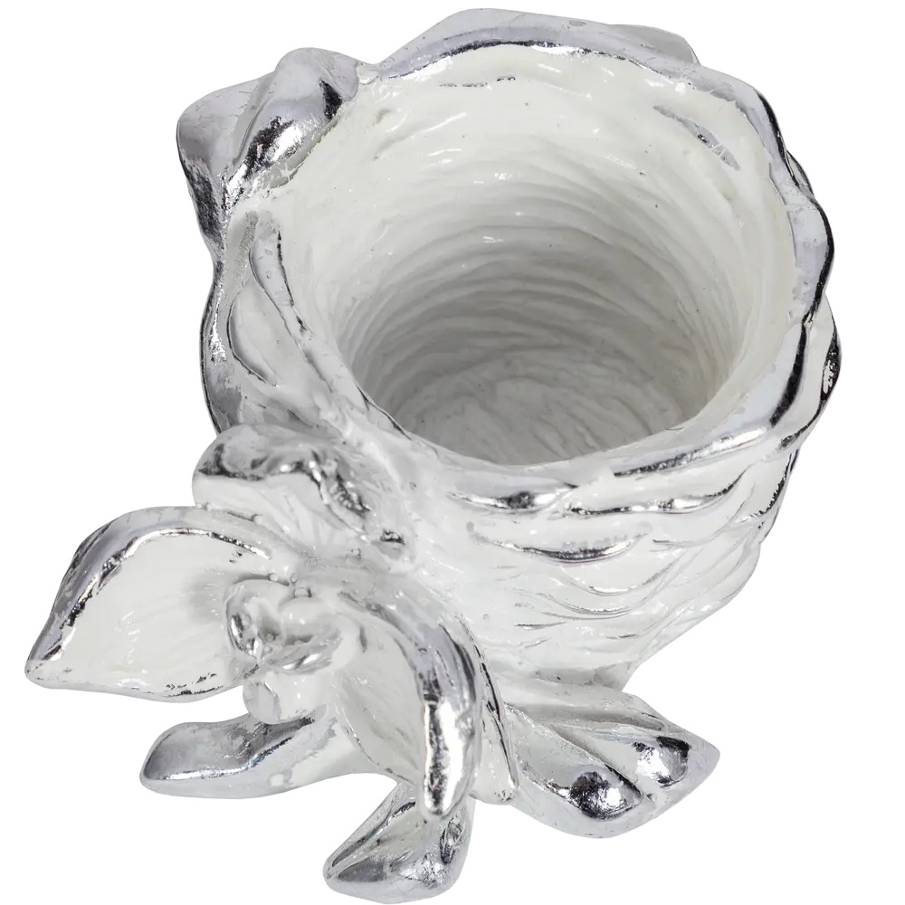 Фото Держатель для зубочисток Bogacho Орхидея Ликаста цвет белый Фото Держатель для зубочисток Bogacho Орхидея Ликаста цвет белый