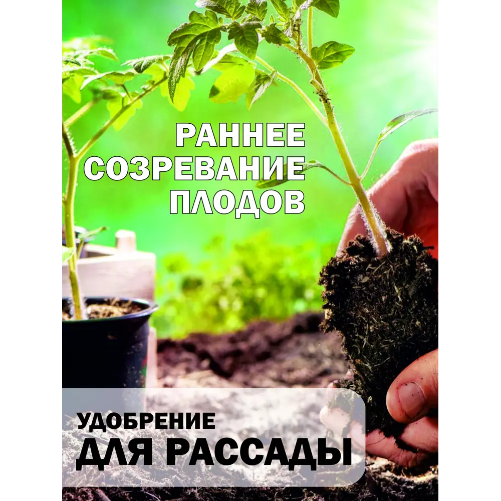 Фото 3 Удобрение для рассады Safora РАС0.5 500 мл Фото 3 Удобрение для рассады Safora РАС0.5 500 мл