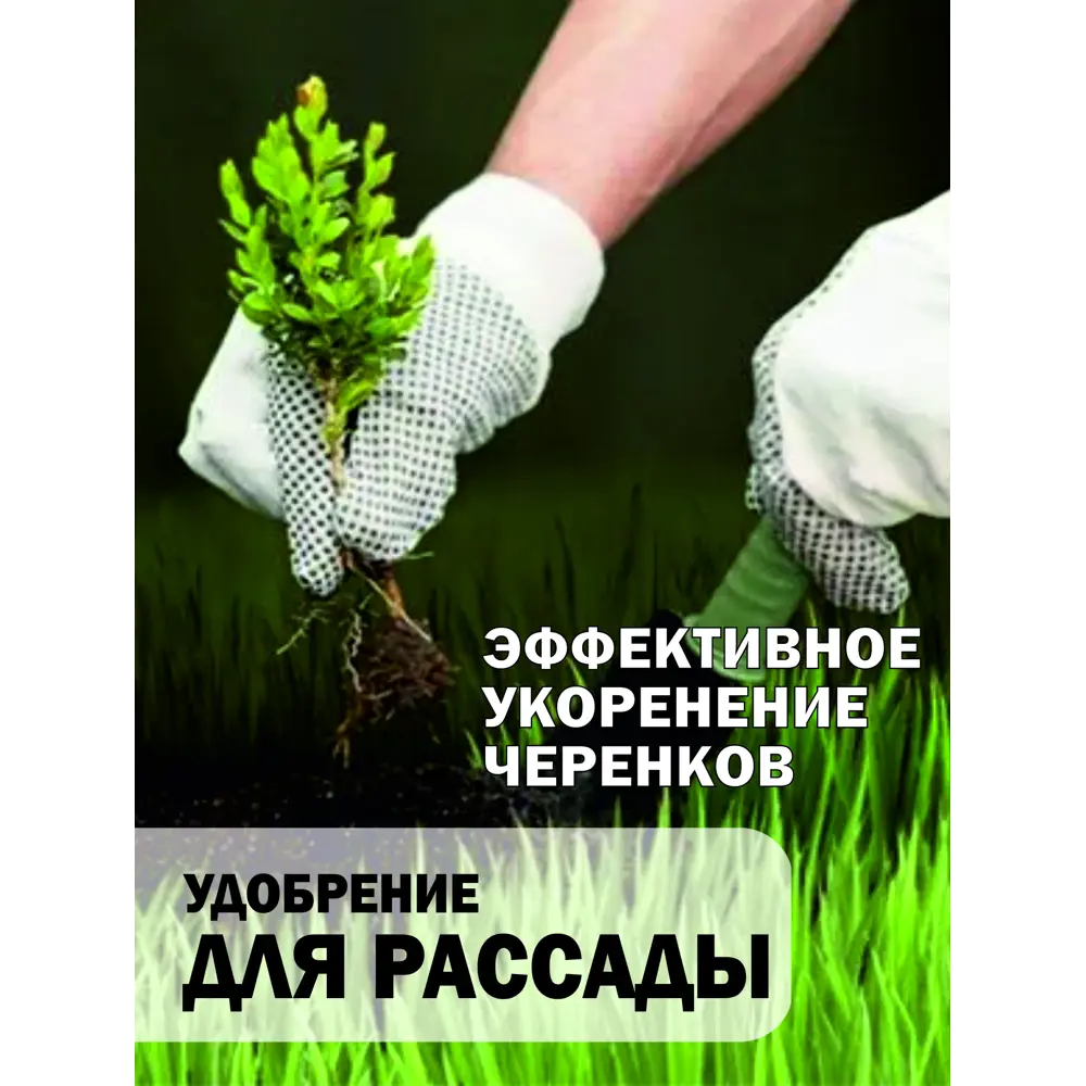 Фото 4 Удобрение для рассады Safora РАС1 1 л Фото 4 Удобрение для рассады Safora РАС1 1 л