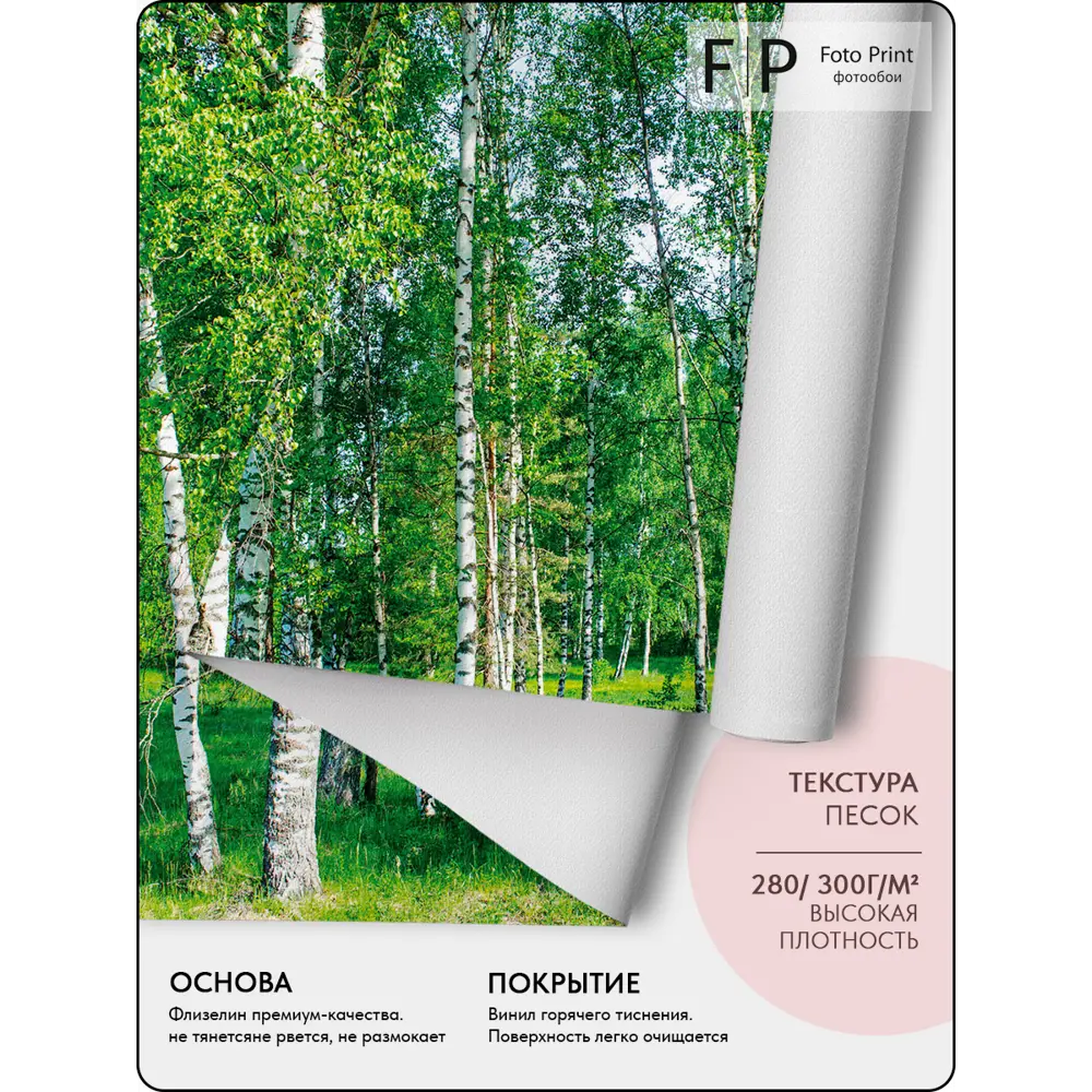 Фото 6 Фотообои флизелиновые Foto Print Березовая роща 02-038-А-3.5-2.7, 350x270 см
