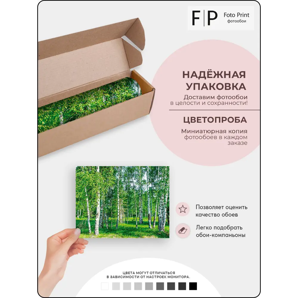 Фото 8 Фотообои флизелиновые Foto Print Березовая роща 02-038-А-3.5-2.7, 350x270 см