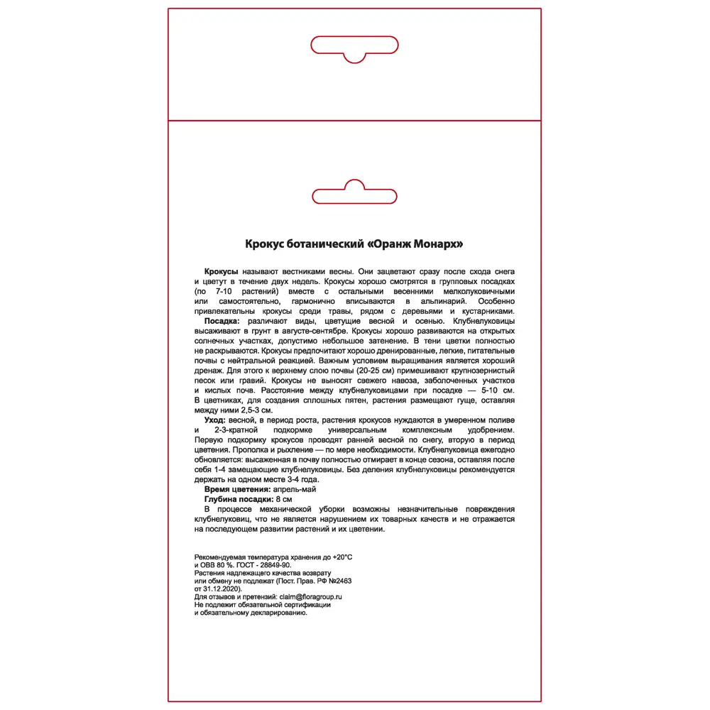 Фото 2 Крокус ботанический Оранж Монарх луковицы 5/6 7 шт Фото 2 Крокус ботанический Оранж Монарх луковицы 5/6 7 шт