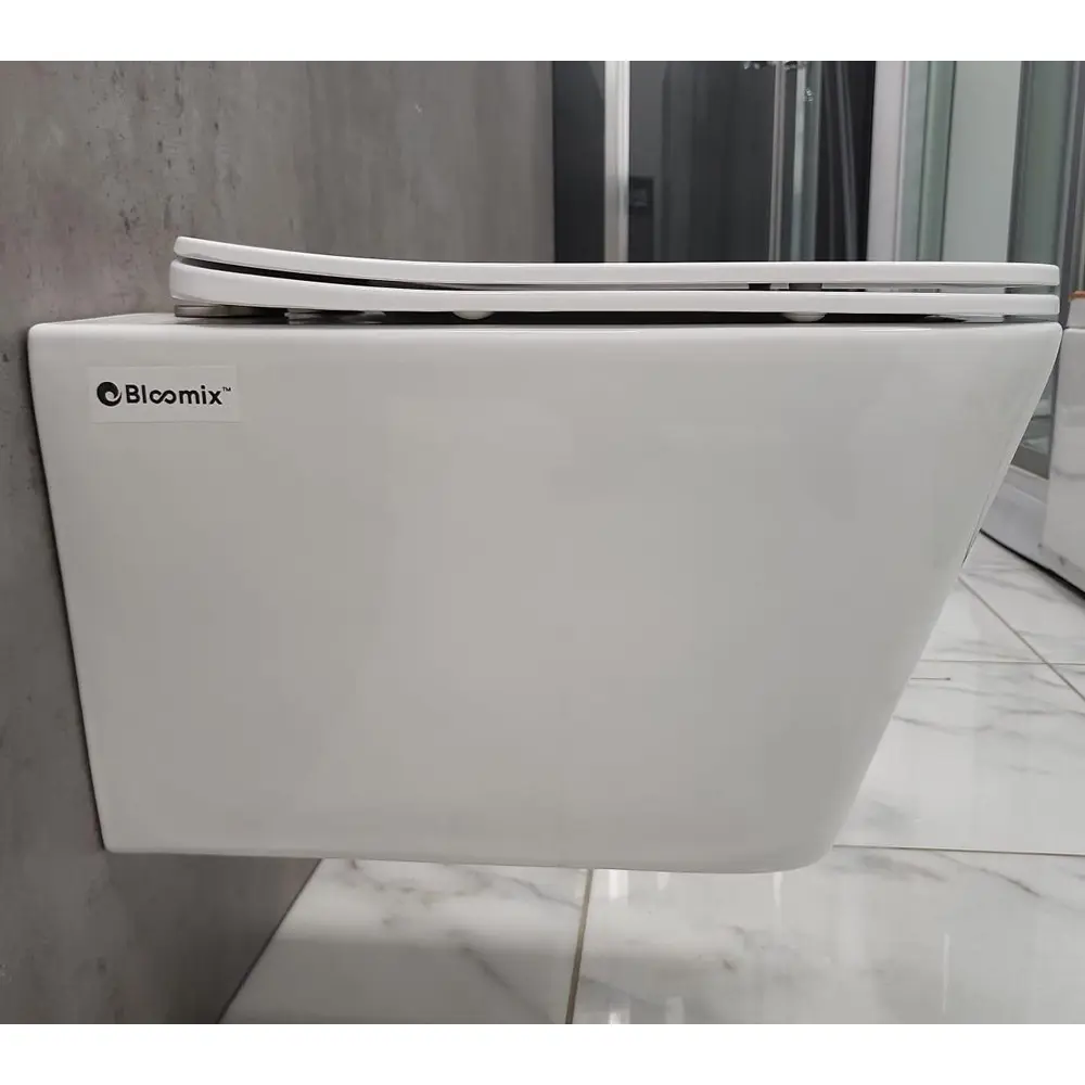 Фото 6 Комплект инсталляции с унитазом Grohe Rapid SL 38772001 унитаз Bloomix Regnum 1202 безободковый с сиденьем Фото 6 Комплект инсталляции с унитазом Grohe Rapid SL 38772001 унитаз Bloomix Regnum 1202 безободковый с сиденьем