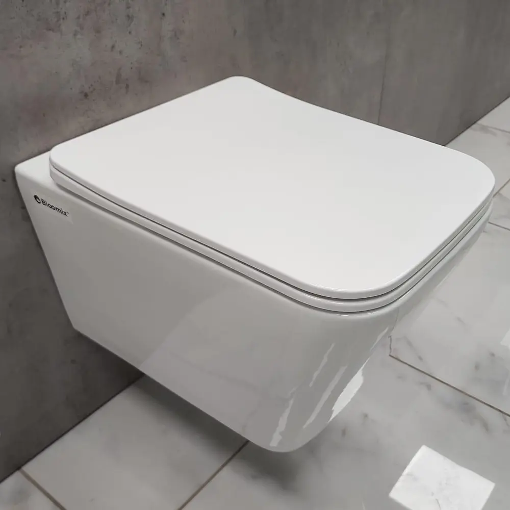 Фото 4 Комплект инсталляции с унитазом Grohe Rapid SL 38772001 унитаз Bloomix Regnum 1202 безободковый с сиденьем Фото 4 Комплект инсталляции с унитазом Grohe Rapid SL 38772001 унитаз Bloomix Regnum 1202 безободковый с сиденьем