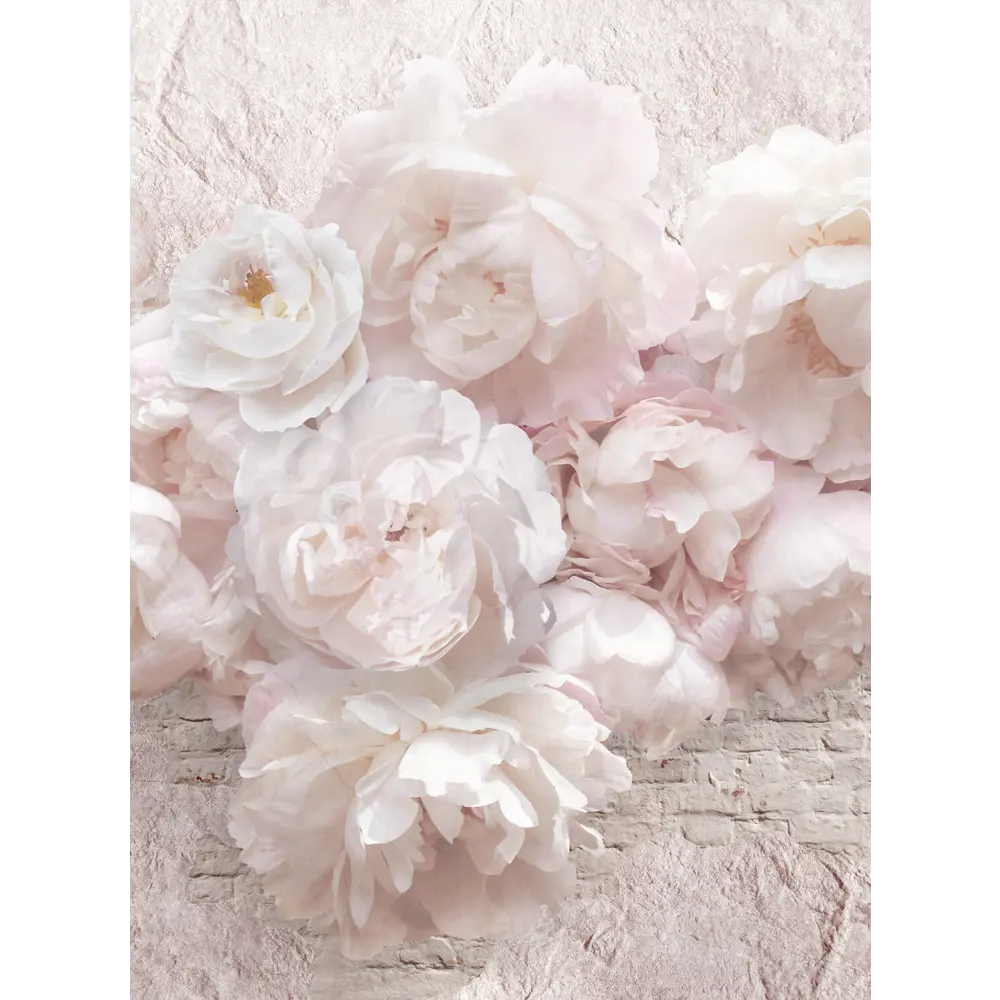 Фото 4 Фотообои флизелиновые Foto Print Нежный букет 04-326-А-2-2.7, 200x270 см Фото 4 Фотообои флизелиновые Foto Print Нежный букет 04-326-А-2-2.7, 200x270 см