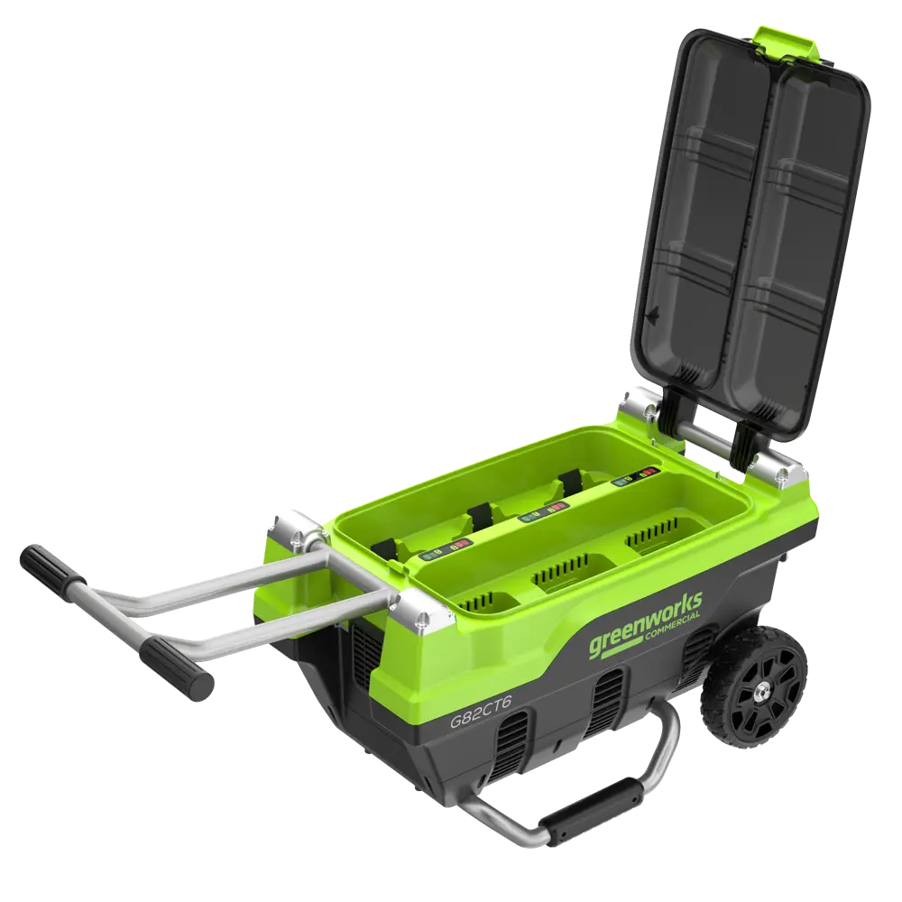 Фото 7 Зарядное устройство для аккумуляторов Greenworks G82CT6