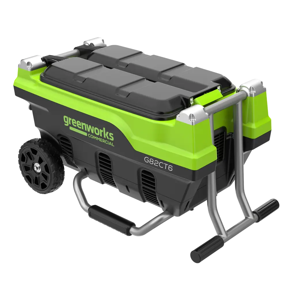 Фото 3 Зарядное устройство для аккумуляторов Greenworks G82CT6