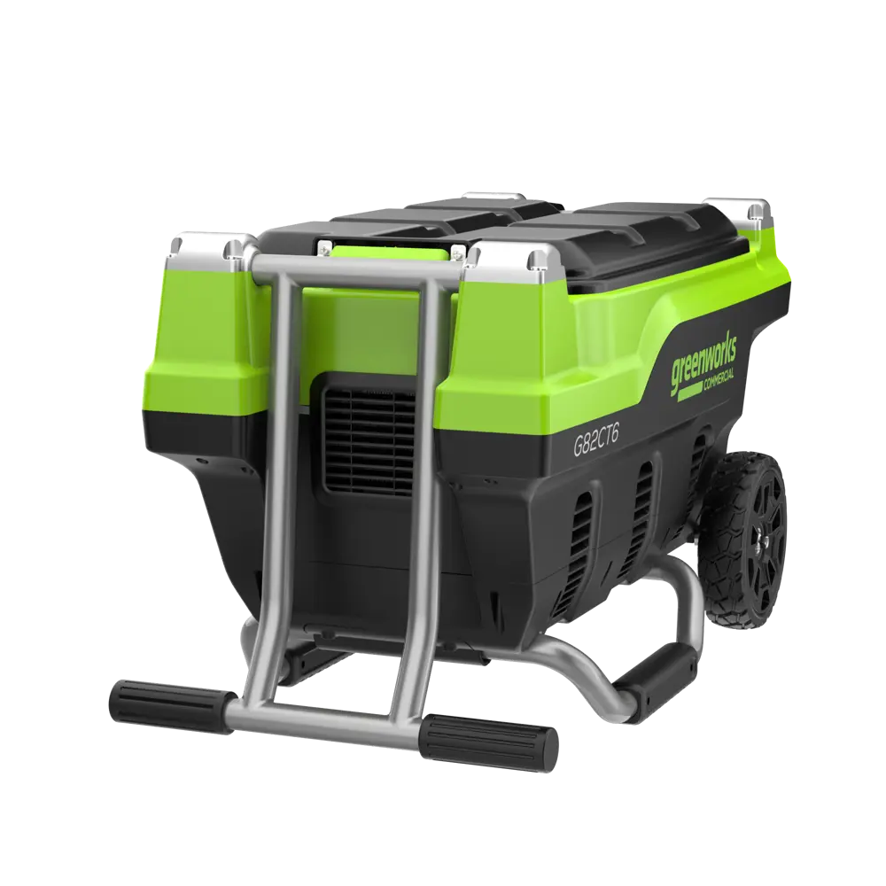 Фото 6 Зарядное устройство для аккумуляторов Greenworks G82CT6