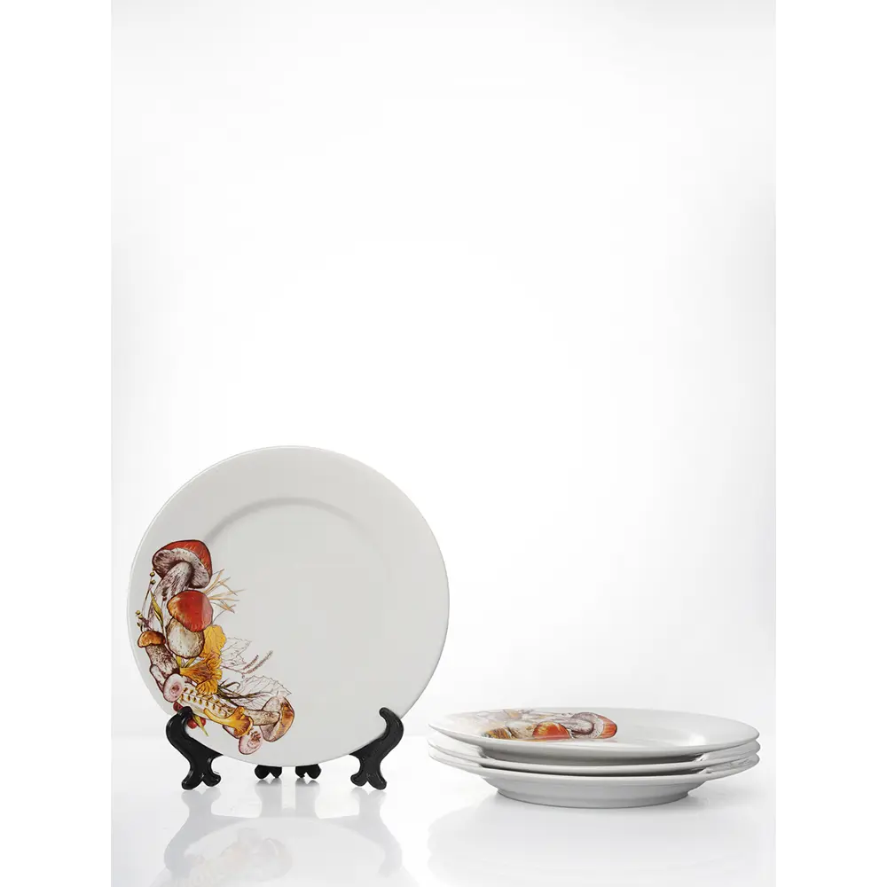 Фото Набор тарелок 20 см Дулёвский фарфоровый завод 92602/4 Фарфор цвет белый