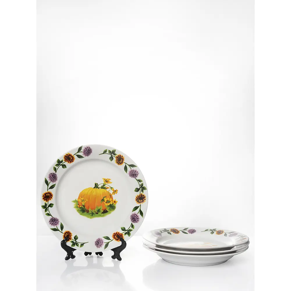 Фото Набор тарелок 24 см Дулёвский фарфоровый завод 115372/4 Фарфор цвет белый Фото Набор тарелок 24 см Дулёвский фарфоровый завод 115372/4 Фарфор цвет белый