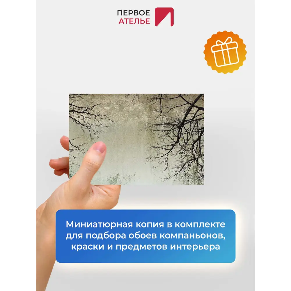 Фото 8 Фотообои флизелиновые Первое ателье 400x270 см pw95935-400х270