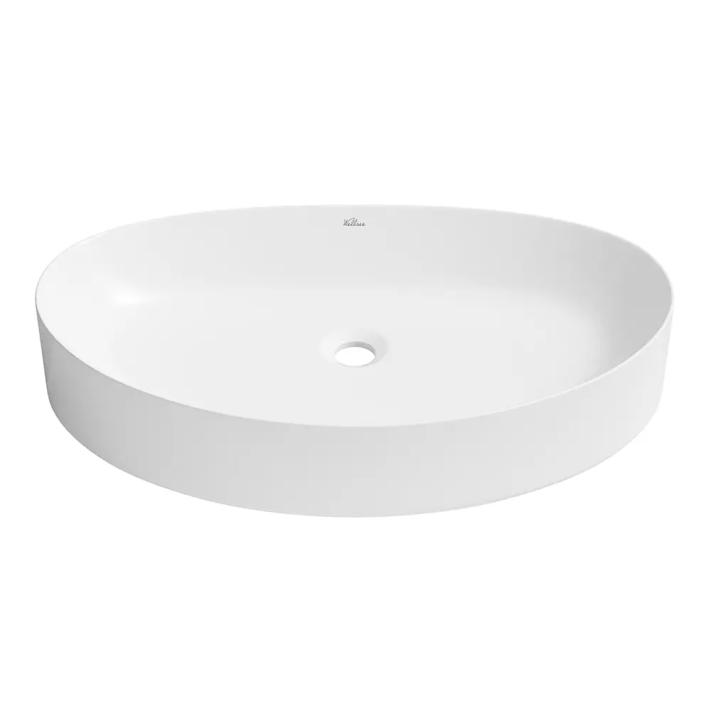 Фото 2 Раковина Wellsee belle spa 2.0 20212605R 65см цвет раковина 2 в 1: д/к Фото 2 Раковина Wellsee belle spa 2.0 20212605R 65см цвет раковина 2 в 1: д/к
