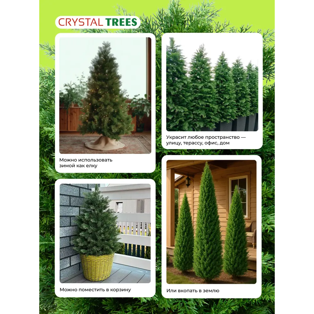 Фото 6 Искусственное дерево Туя Crystal Trees ТУ-90 90 см Фото 6 Искусственное дерево Туя Crystal Trees ТУ-90 90 см