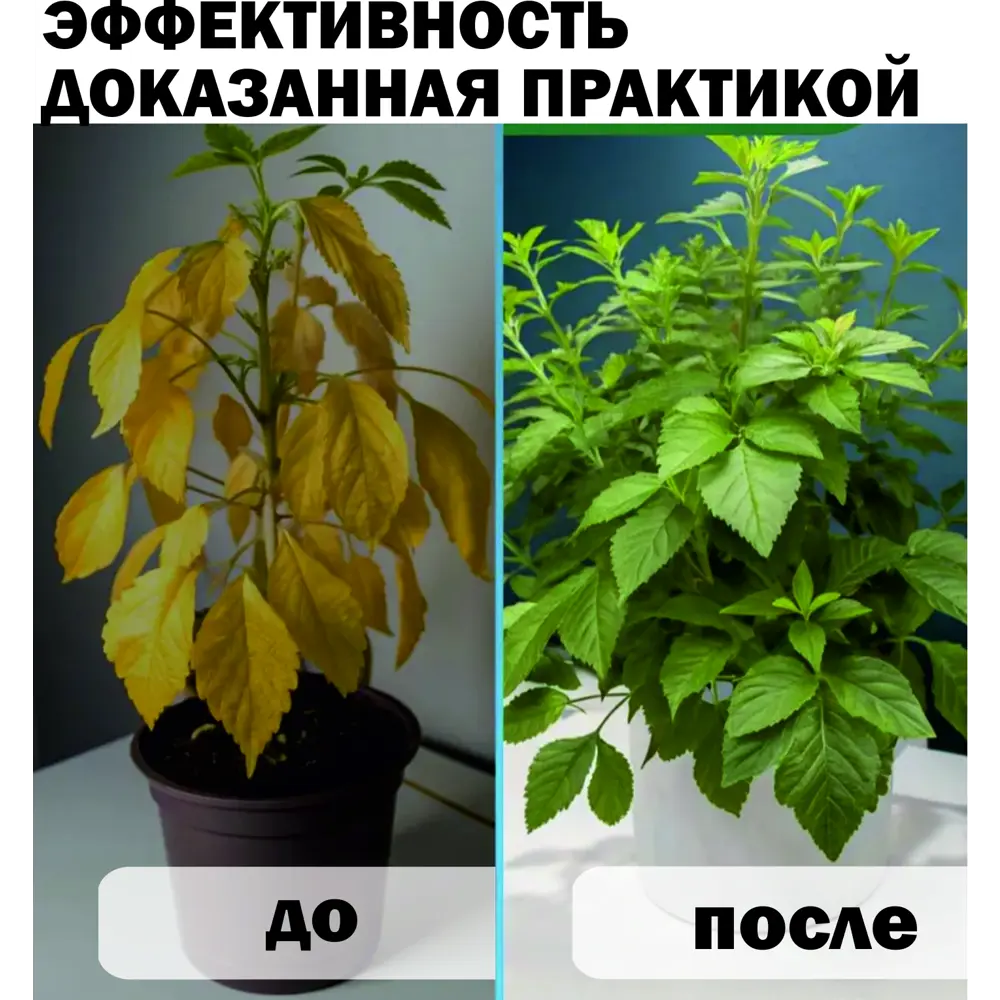 Фото 9 Удобрение для зелени Safora 500 мл Фото 9 Удобрение для зелени Safora 500 мл