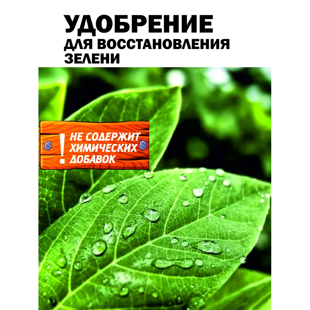 Фото 11 Удобрение для зелени Safora 500 мл Фото 11 Удобрение для зелени Safora 500 мл
