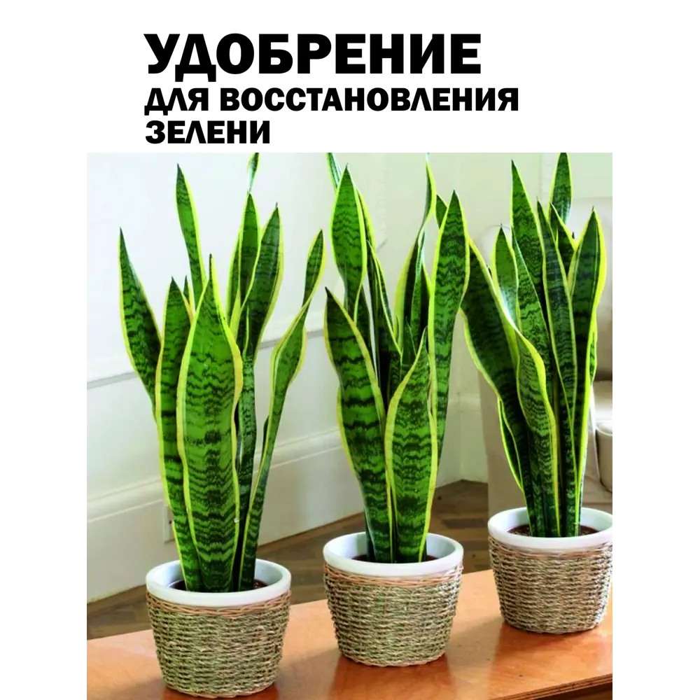 Фото 12 Удобрение для зелени Safora 500 мл Фото 12 Удобрение для зелени Safora 500 мл