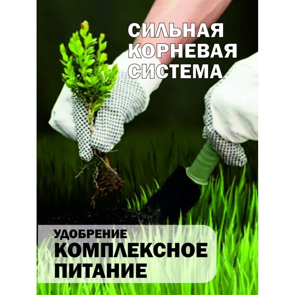 Фото 13 Удобрение комплексное питание Safora 3 л Фото 13 Удобрение комплексное питание Safora 3 л
