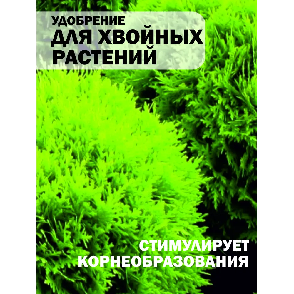 Фото 8 Удобрение для хвойных растений Safora 1 л Фото 8 Удобрение для хвойных растений Safora 1 л